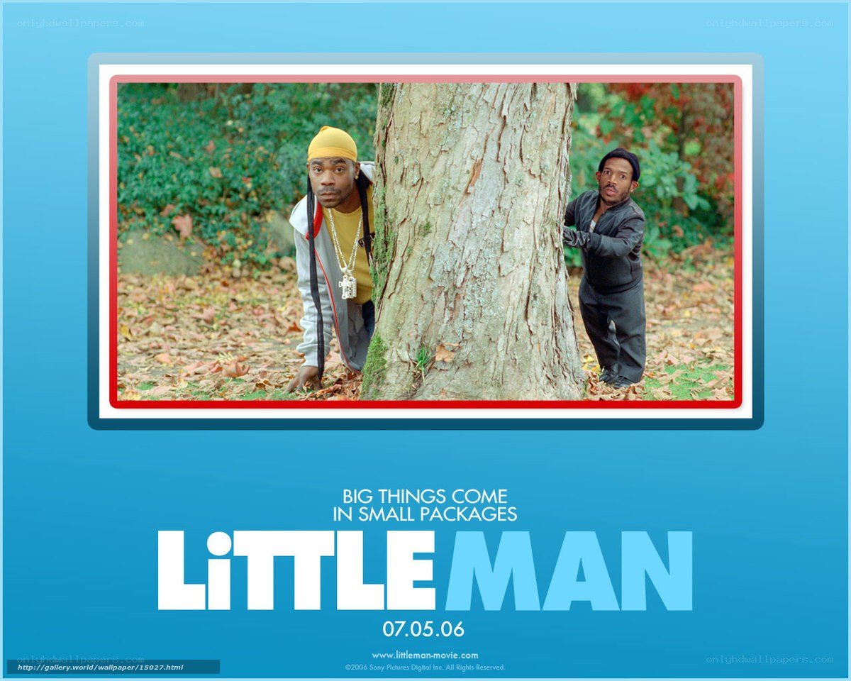 Little Man movie poster