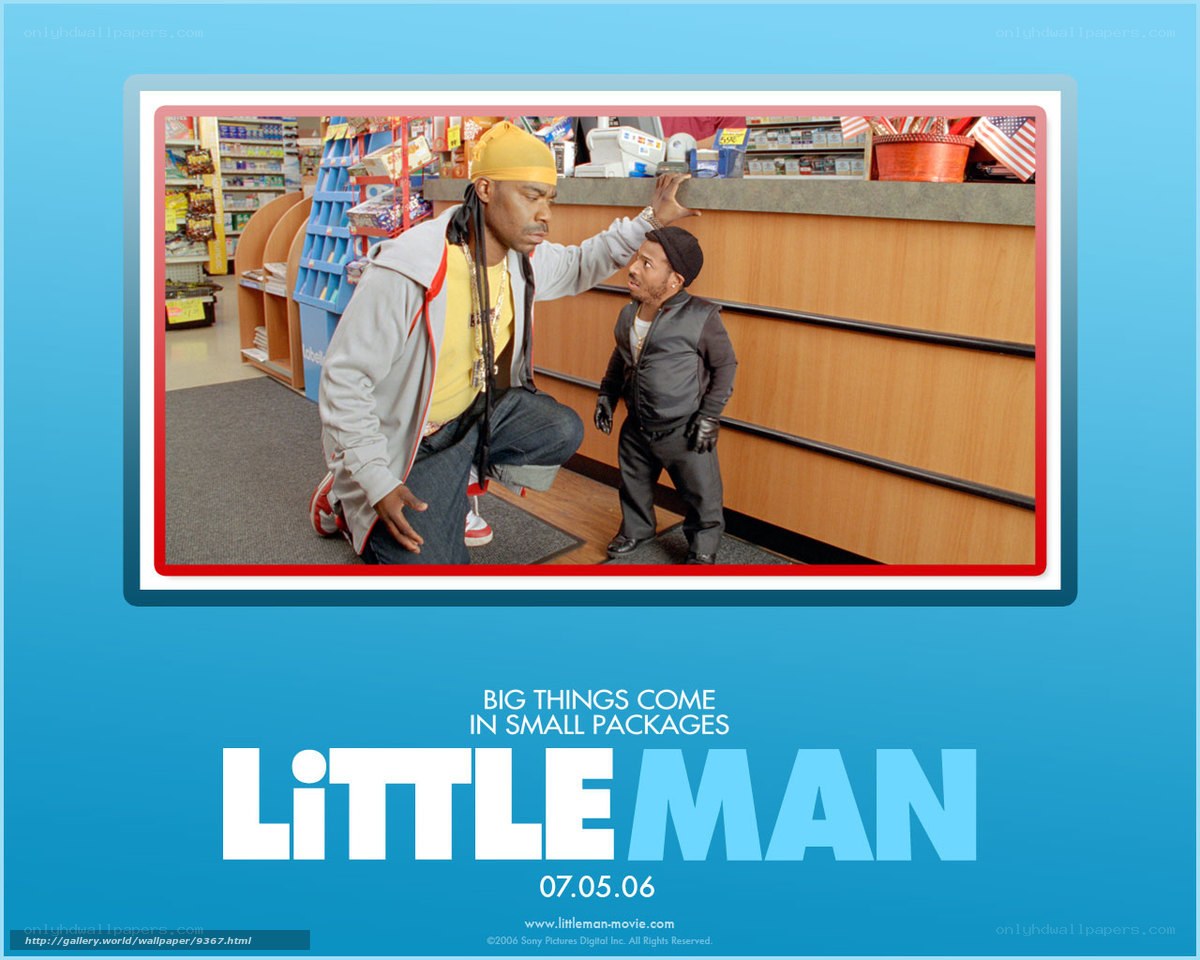 Little Man movie poster