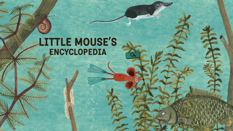 Little Mouse Underwater
