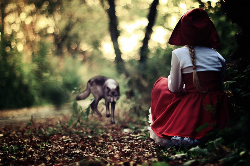 Little Red Riding Hood and the wolf