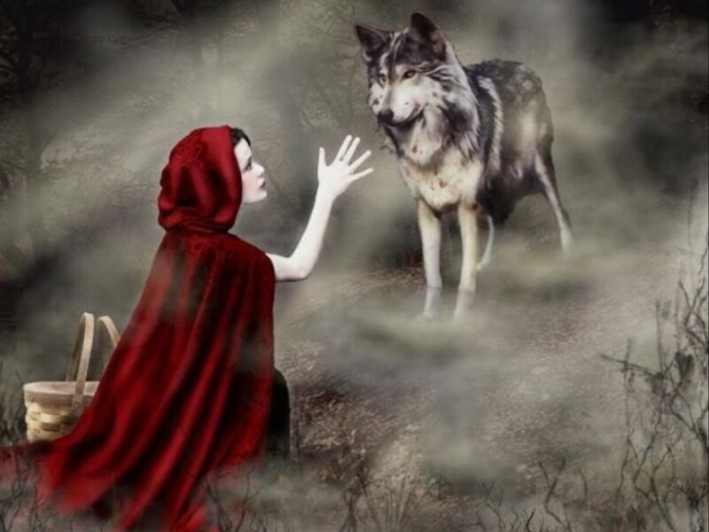Little Red Riding Hood and Wolf — Dramatic, Night