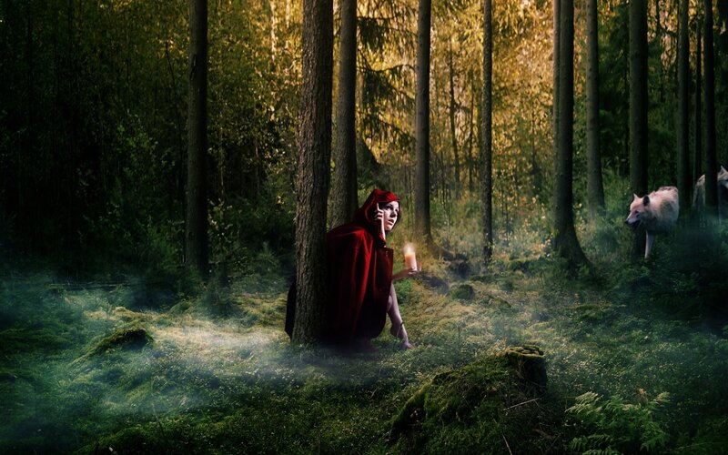 Little Red Riding Hood in the forest