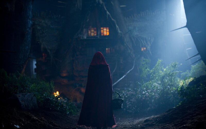 Little Red Riding Hood in the forest