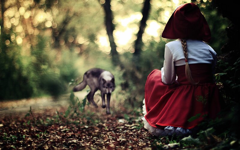 Little Red Riding Hood in the forest