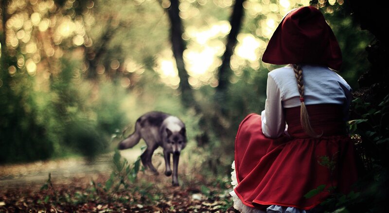 Little Red Riding Hood in the forest