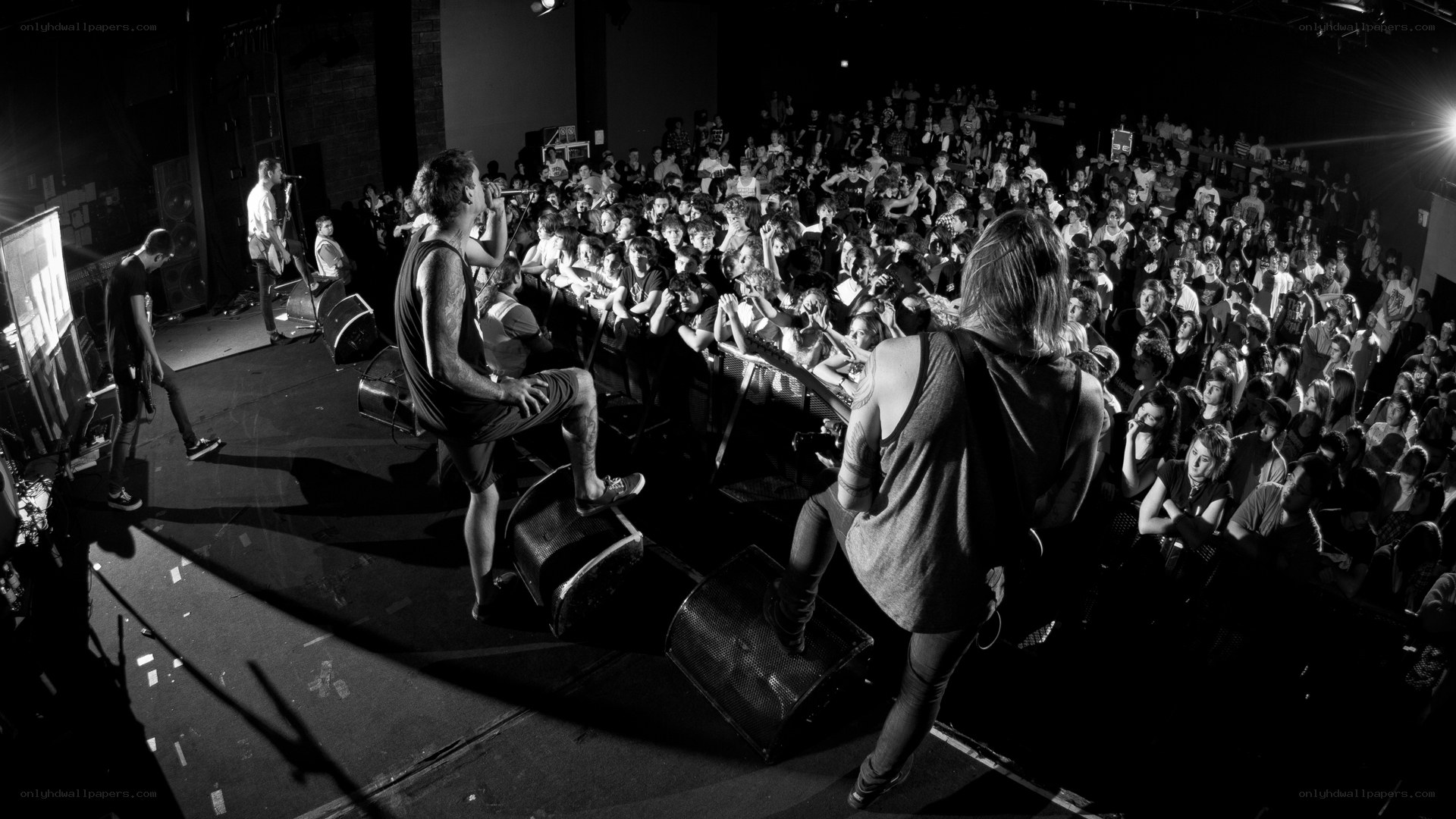 Live band performance at concert