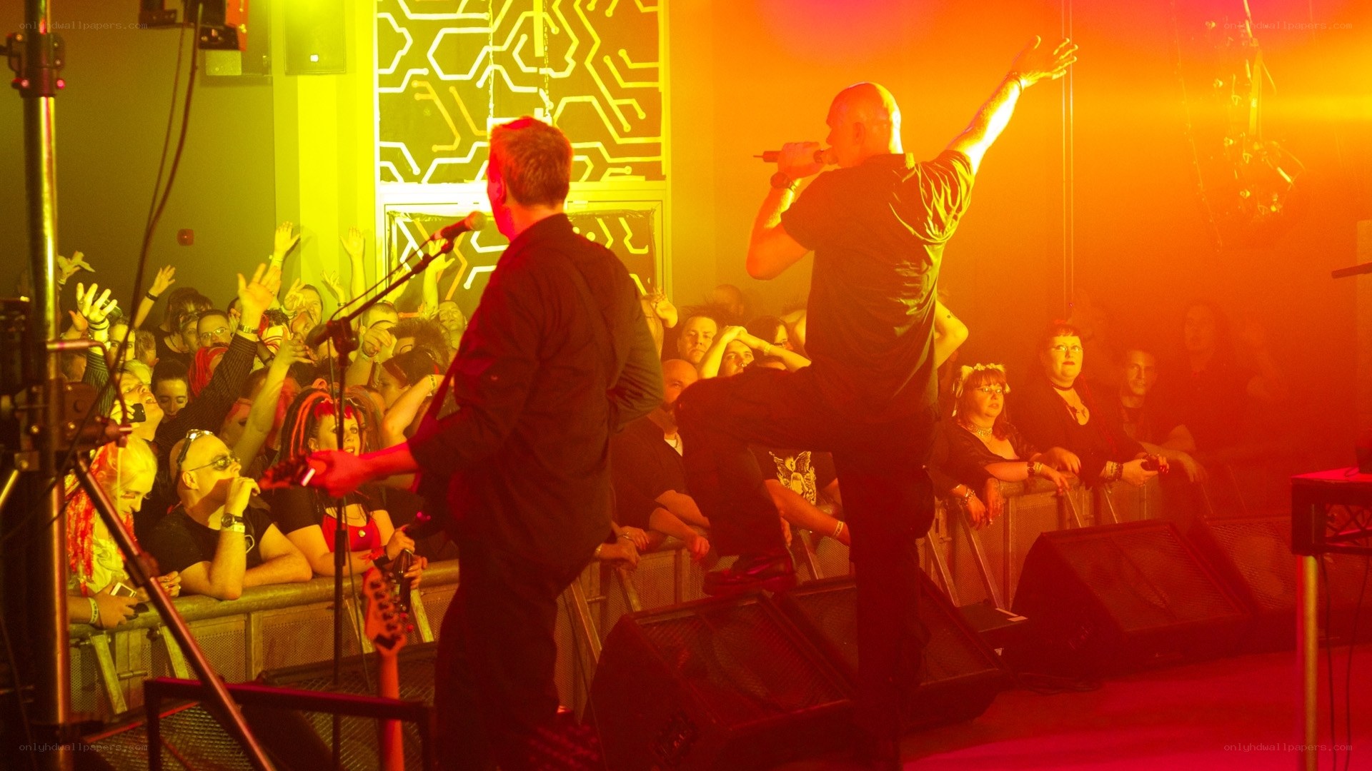 Live band performing on stage