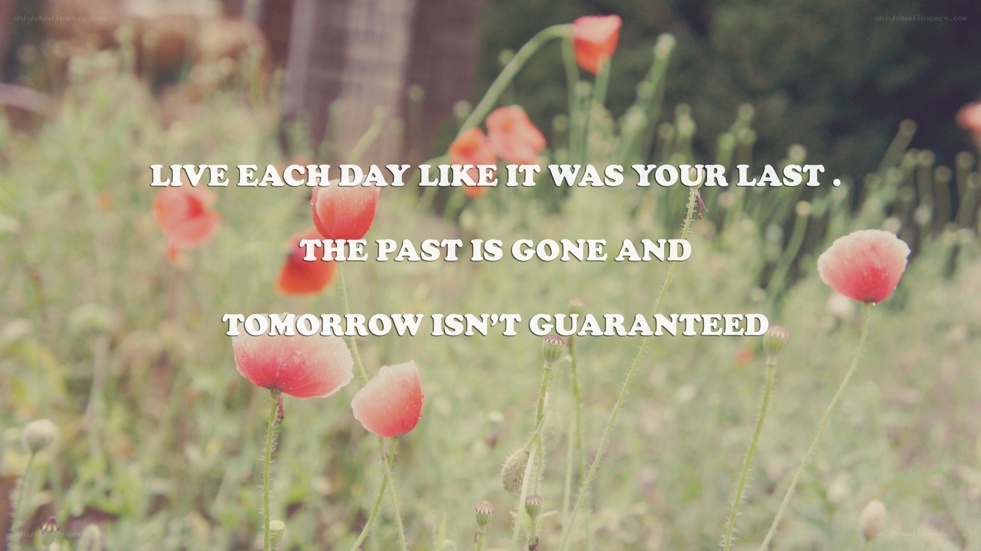 live each day like it's your last