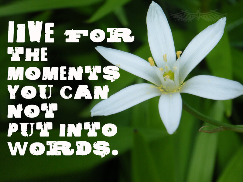 Live for the moments