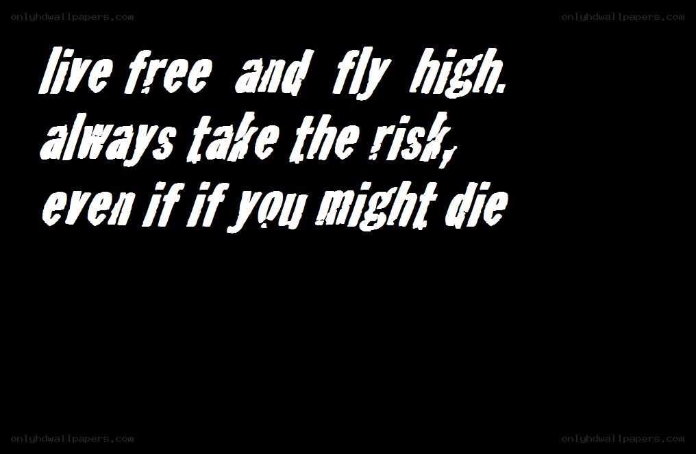 live free and fly high