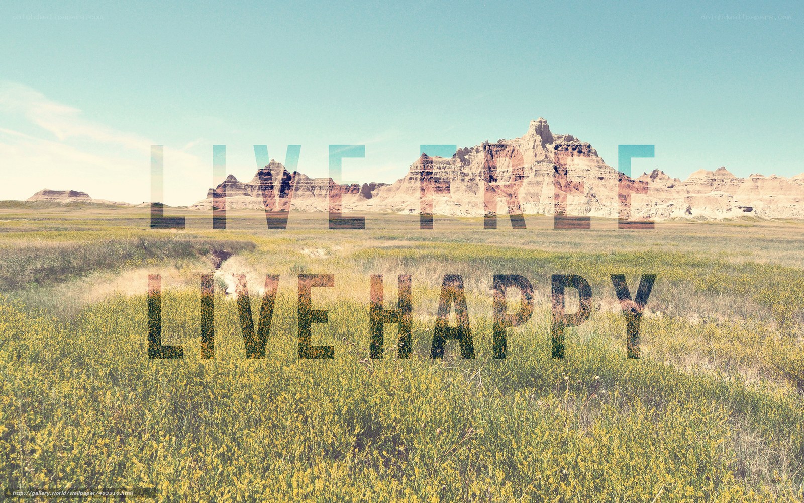 Live Free Live Happy