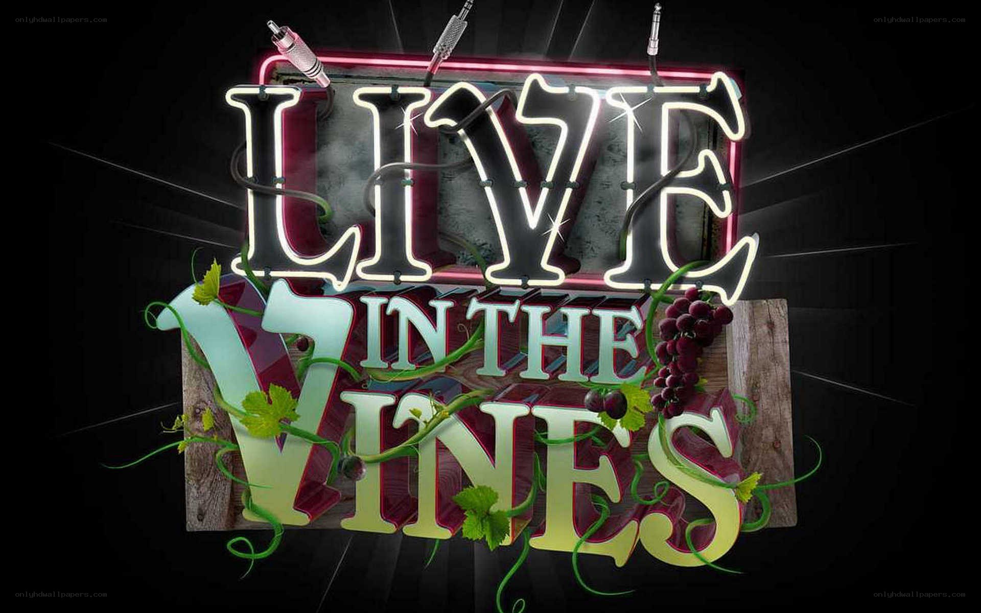 Live in the Vines logo