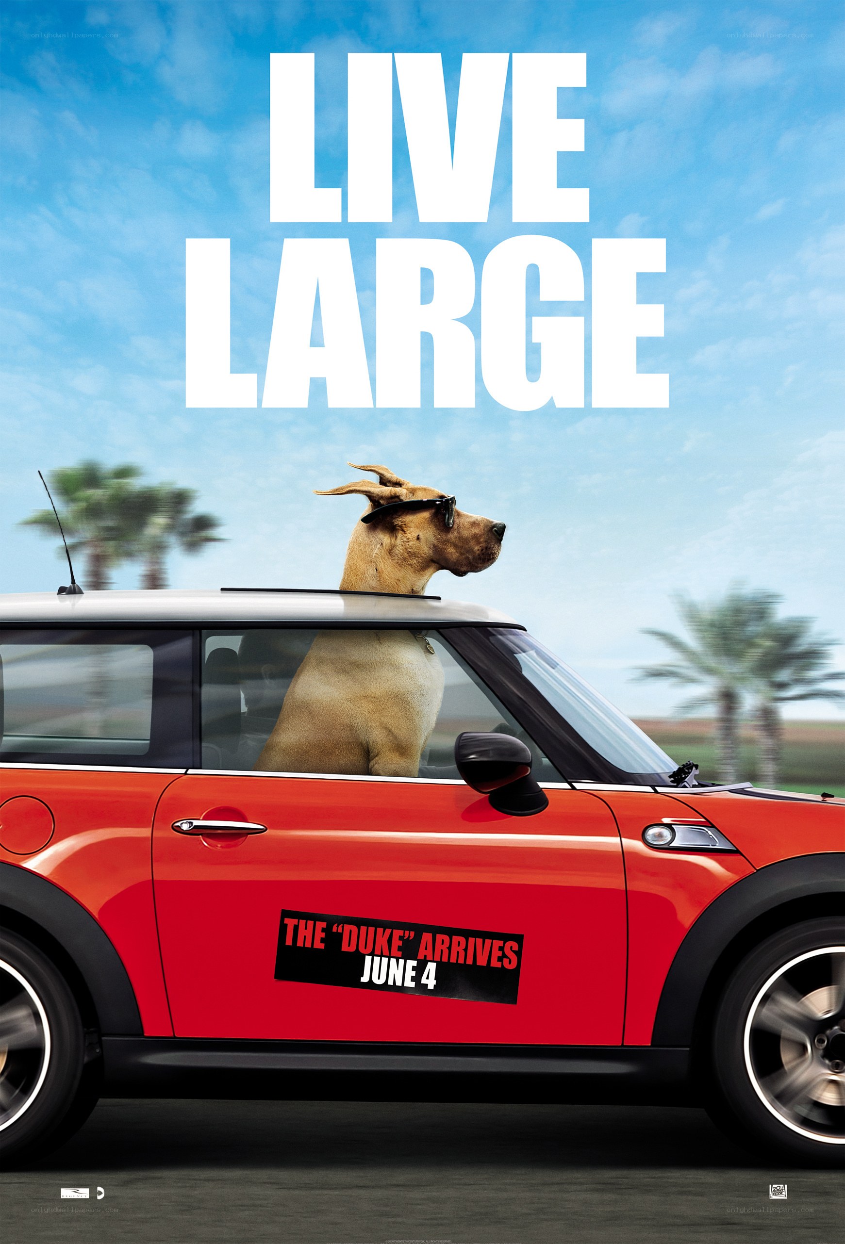 Live Large movie poster