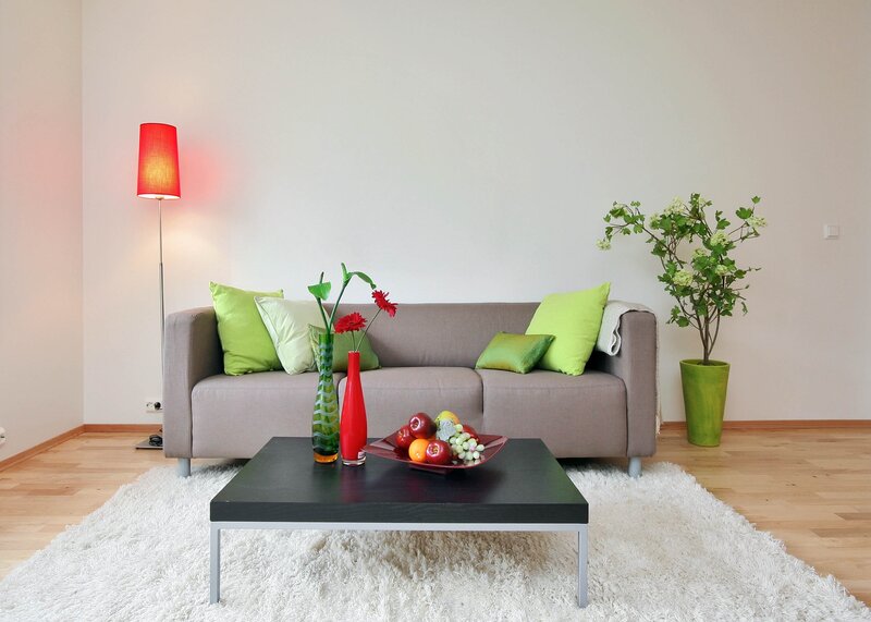 Living Room Sofa