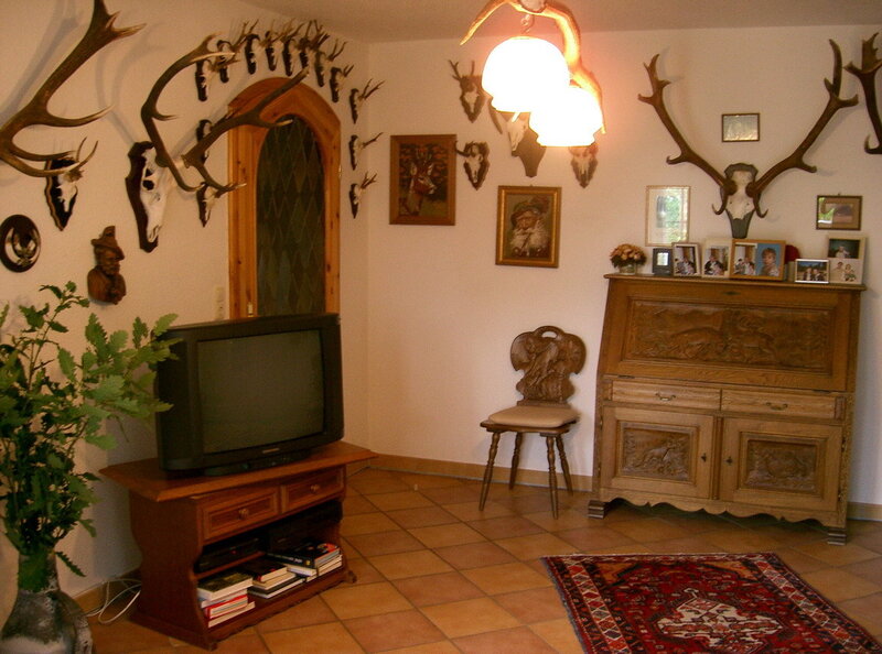 Living room with antlers and TV