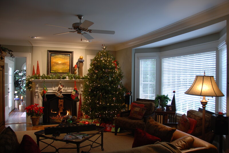 Living Room with Christmas Tree — Green, Cozy