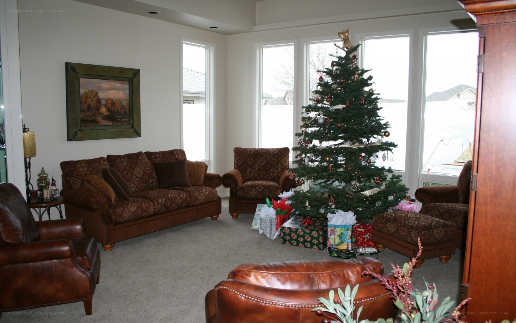 Living room with Christmas tree