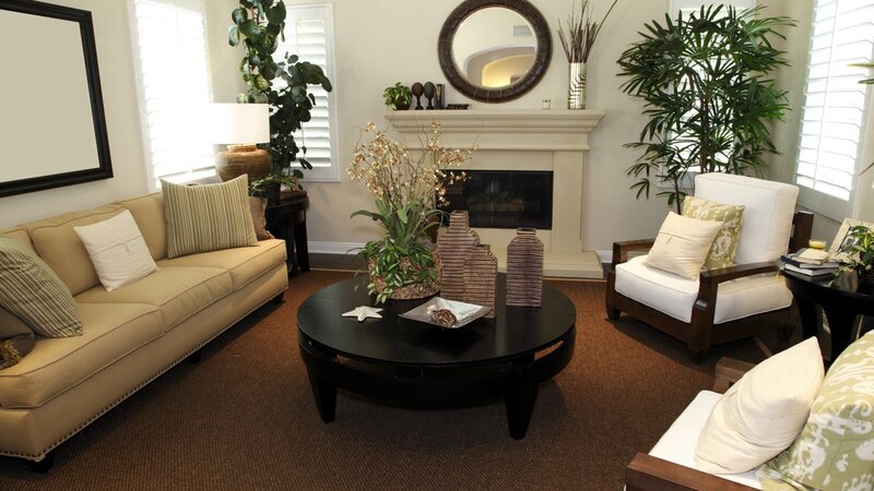 Living room with fireplace and plants