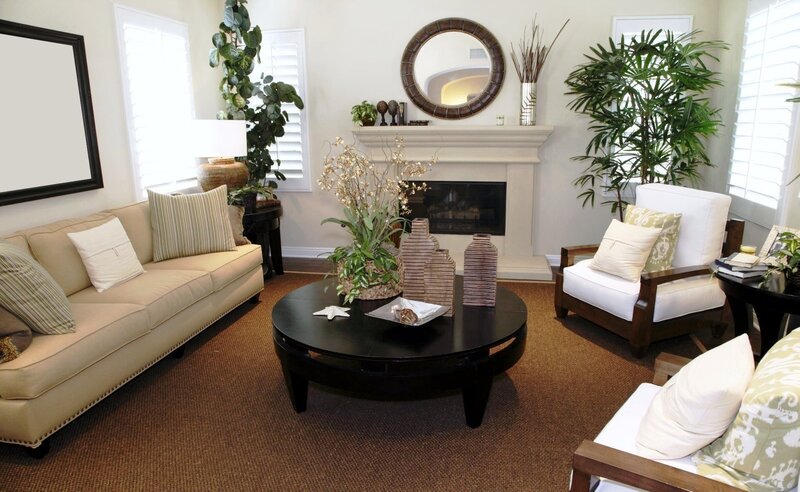 Living room with fireplace and plants