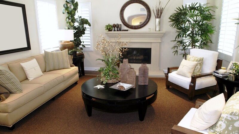 Living room with fireplace and plants