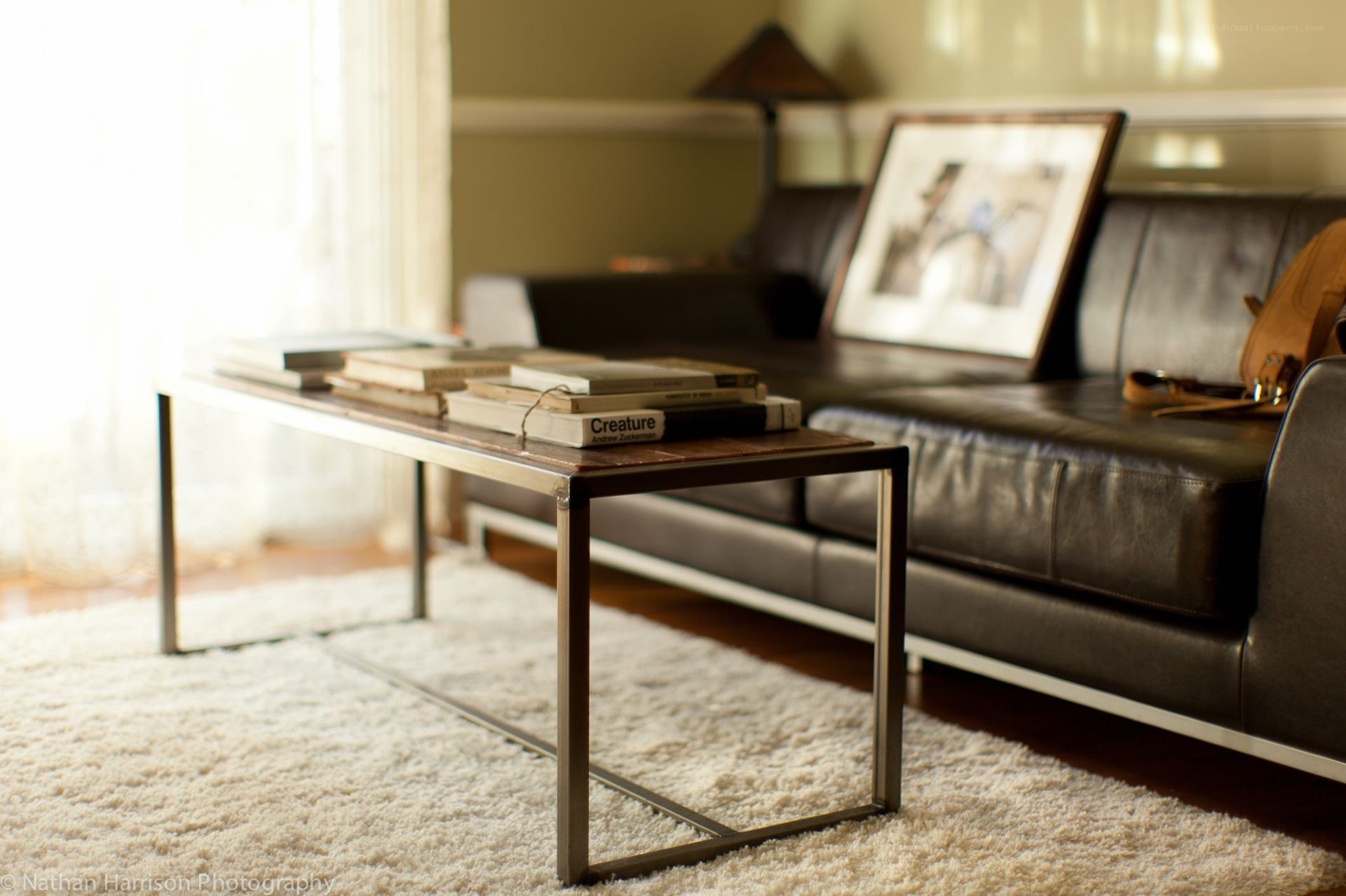Living room with leather sofa