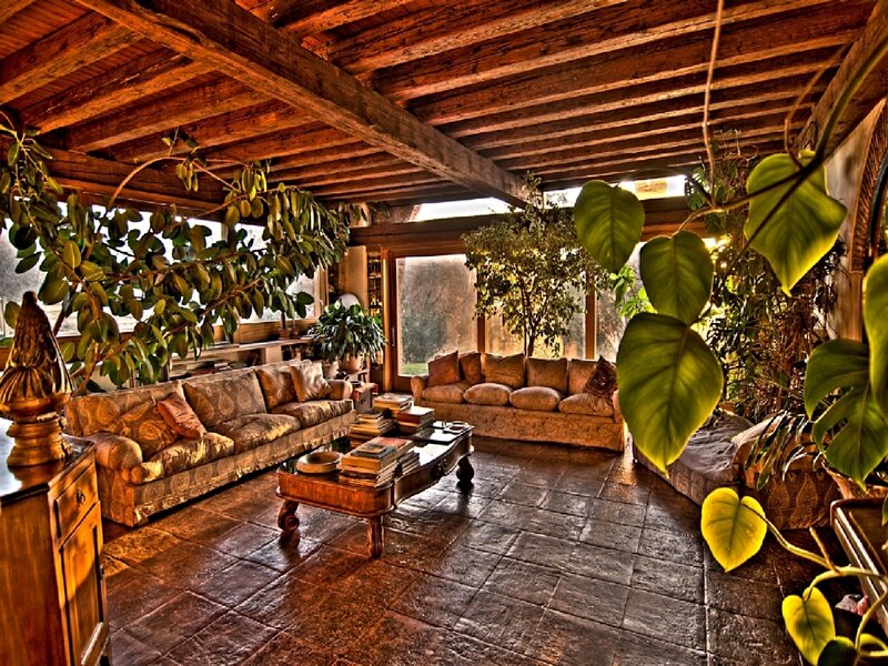 Living Room with Plants