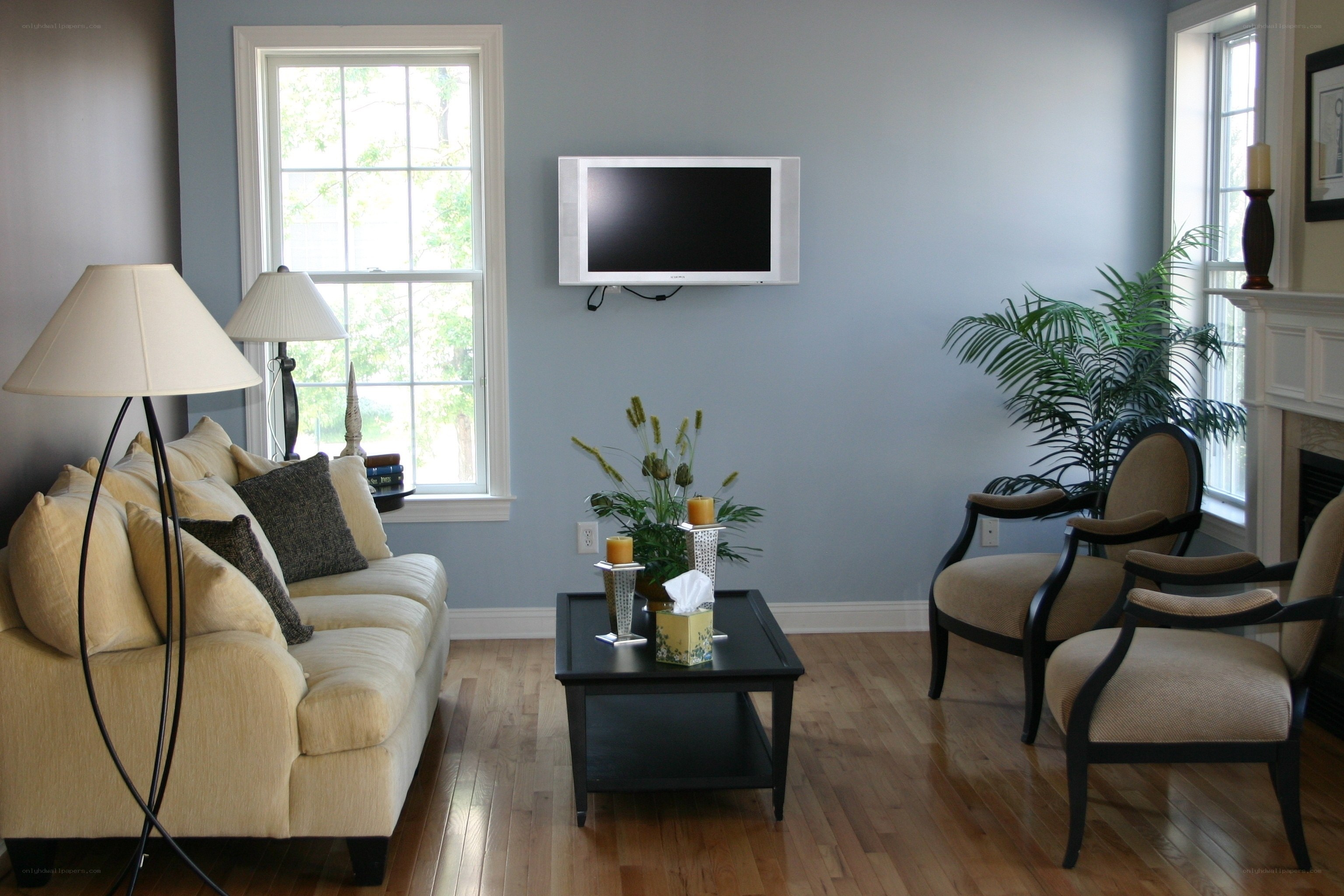 Living room with sofa and TV