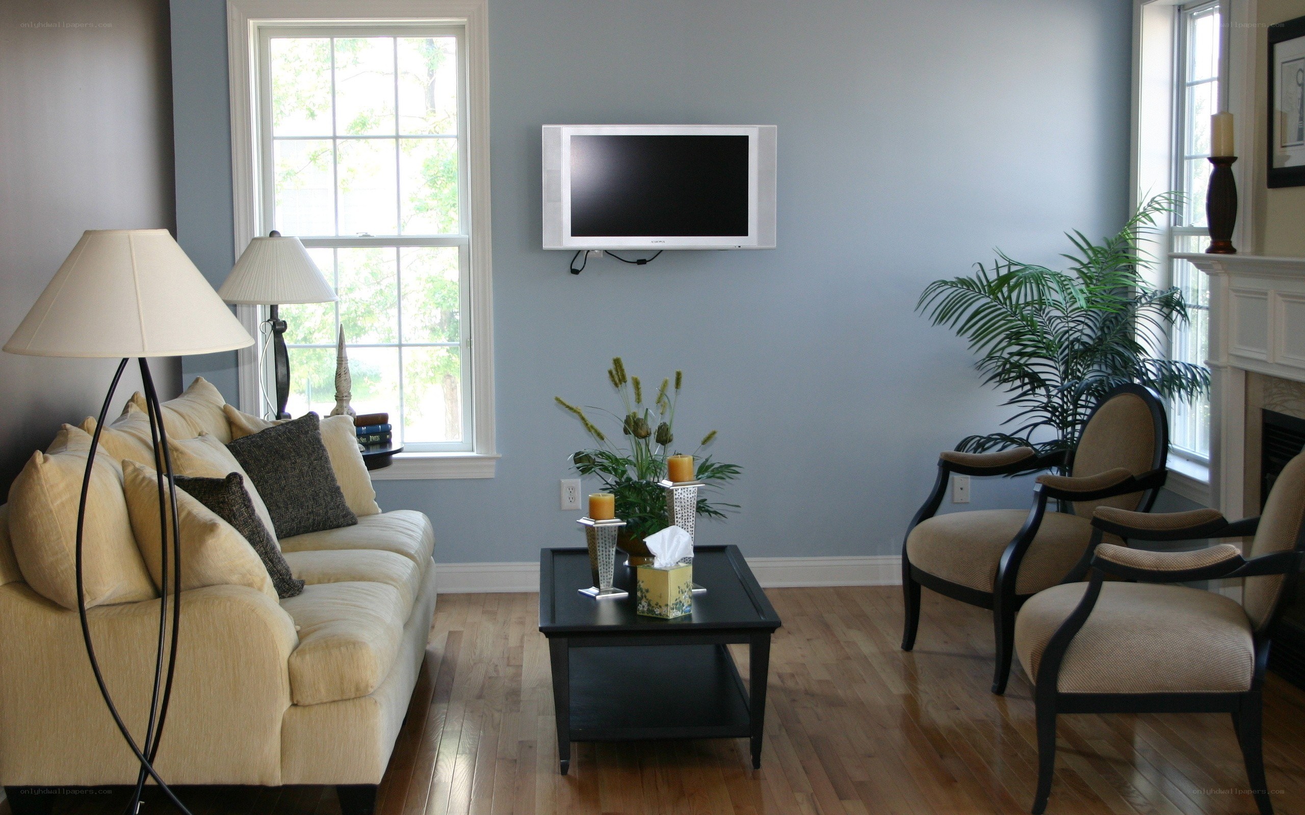 Living room with sofa and TV