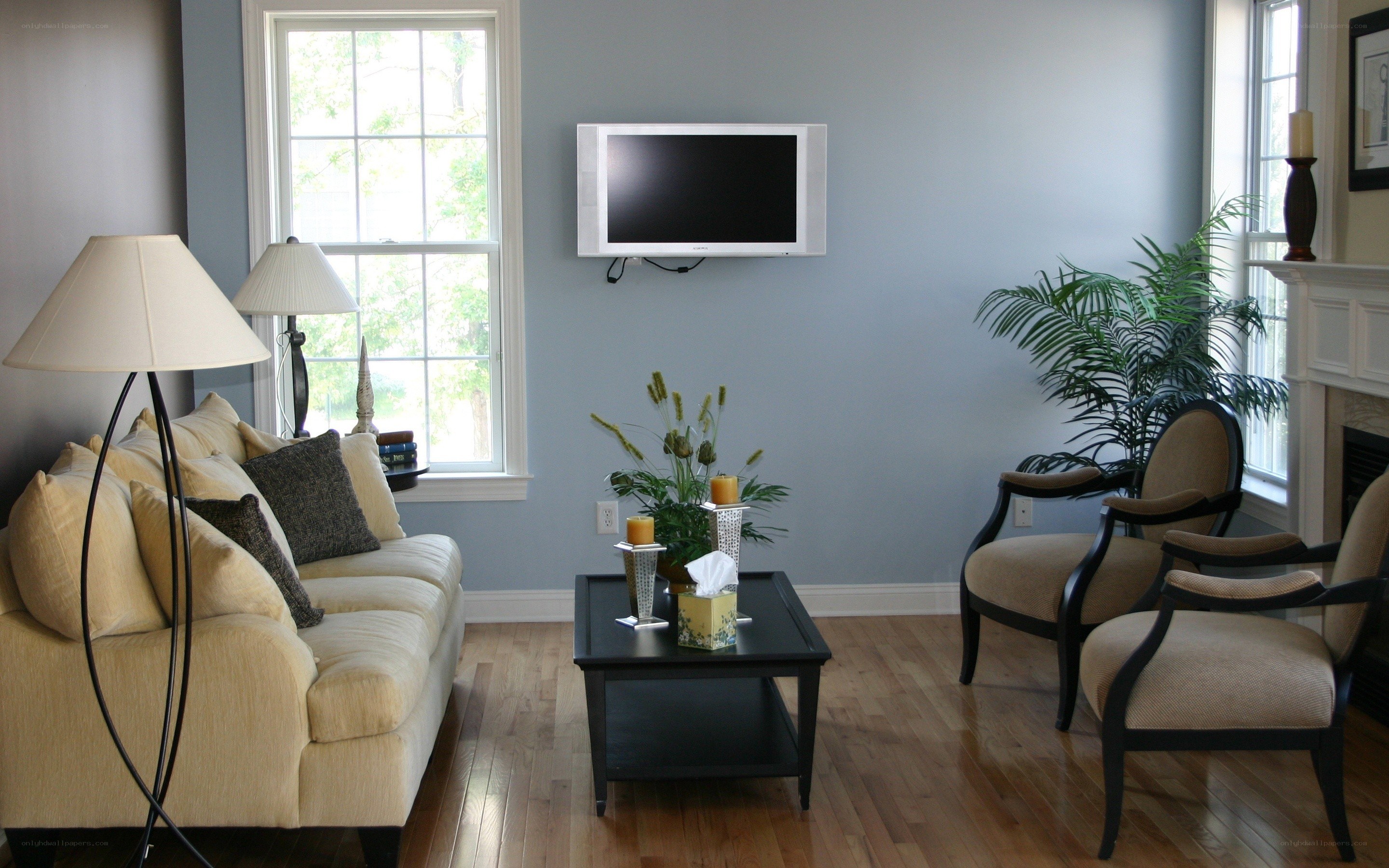 Living room with sofa and TV