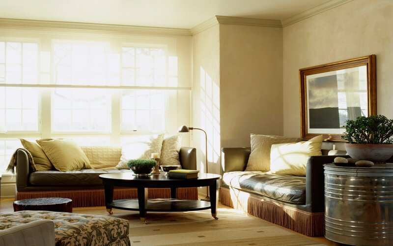 Living Room with Sofas — Beige, Serene