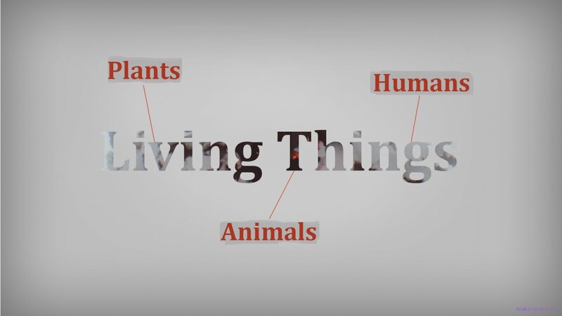 Living Things Diagram