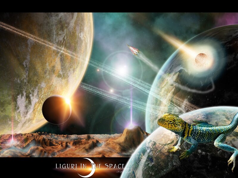 Lizard in the Space