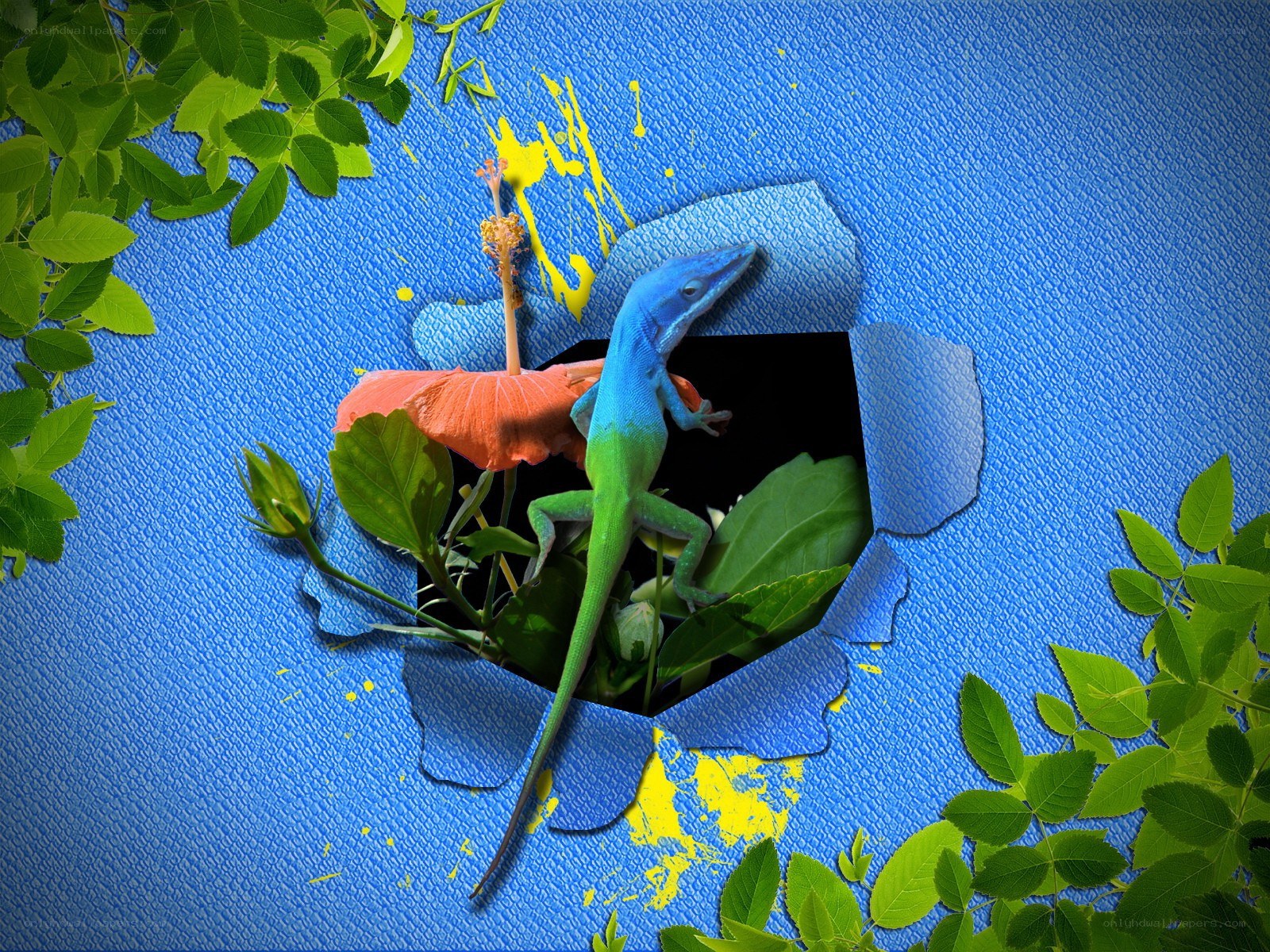 lizard through blue paper
