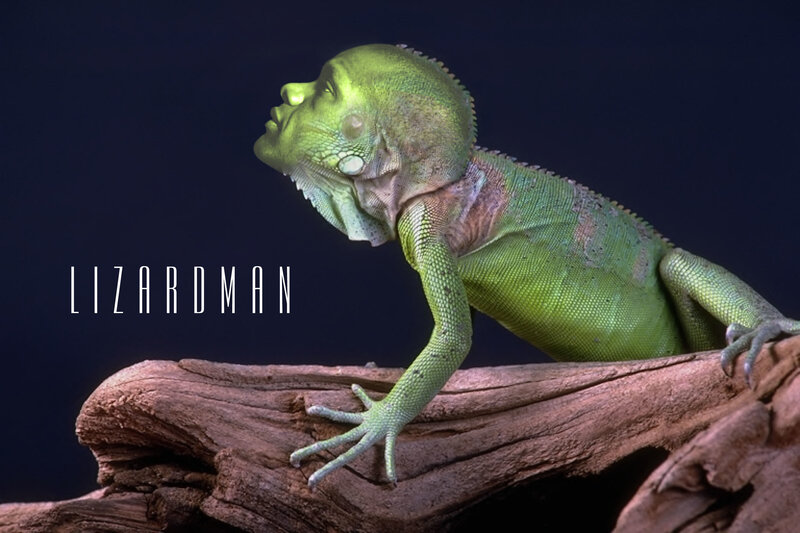 Lizardman on a log