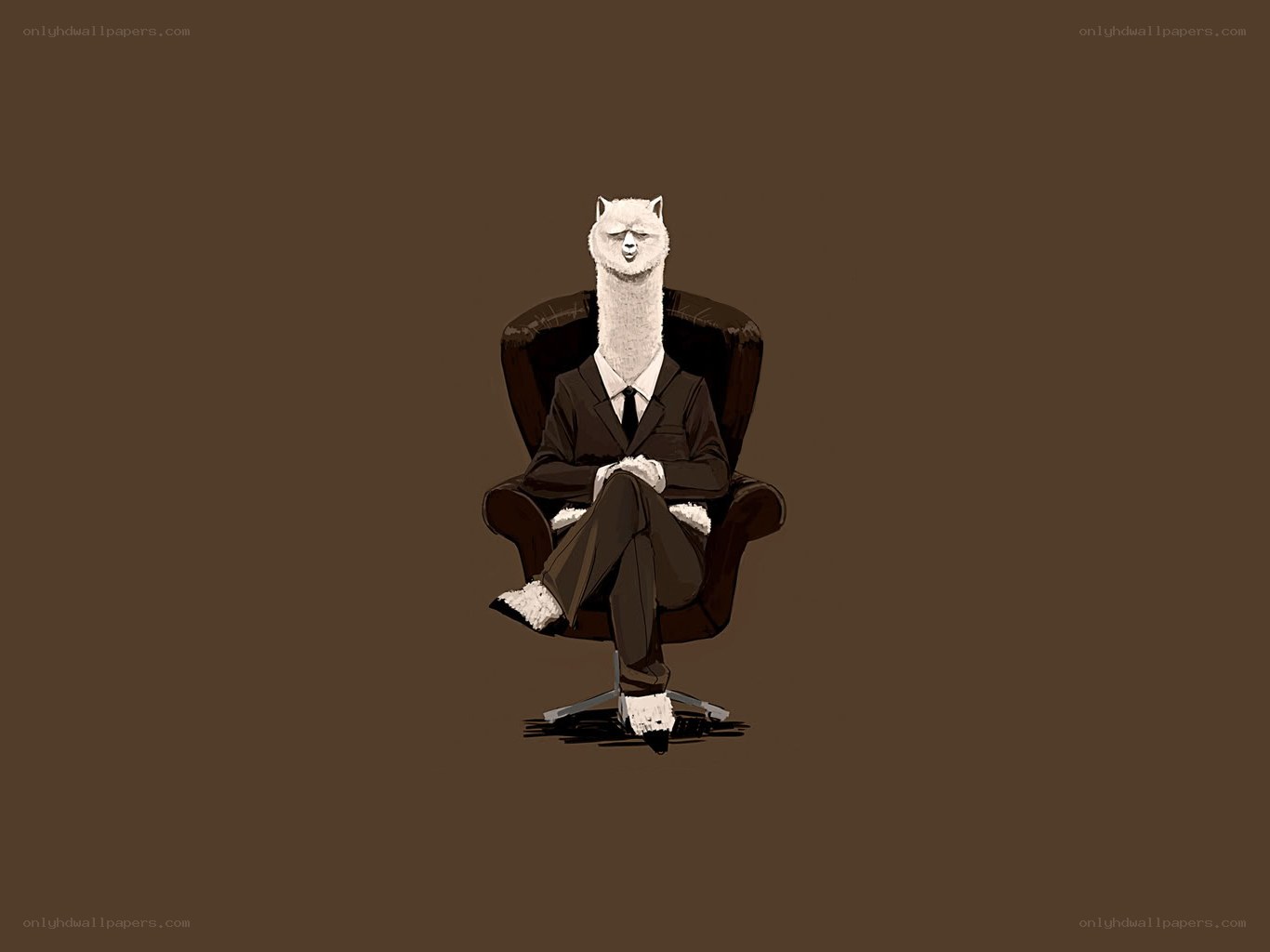 llama in a suit