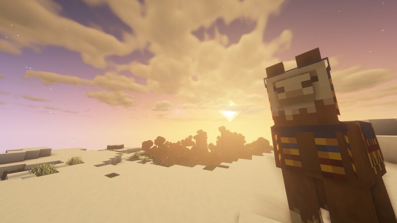Llama in Desert