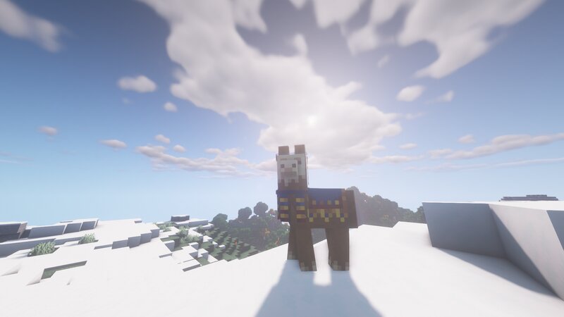 Llama in Snowy Landscape
