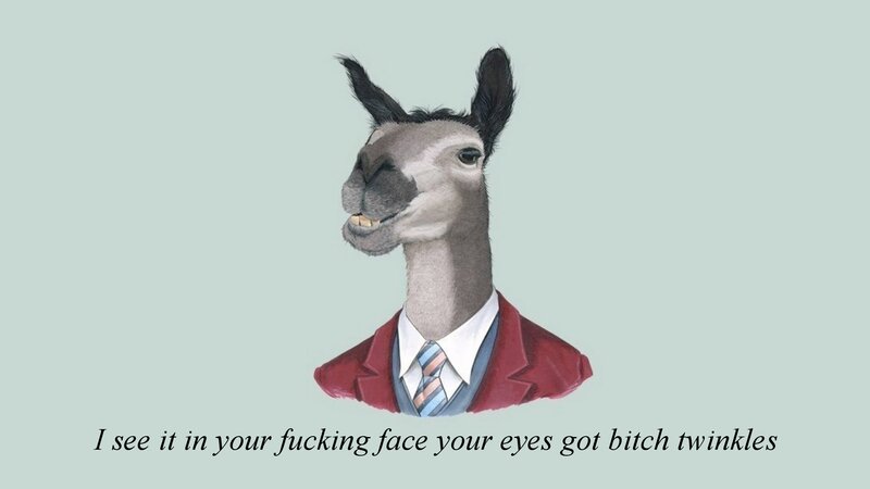 Llama in Suit