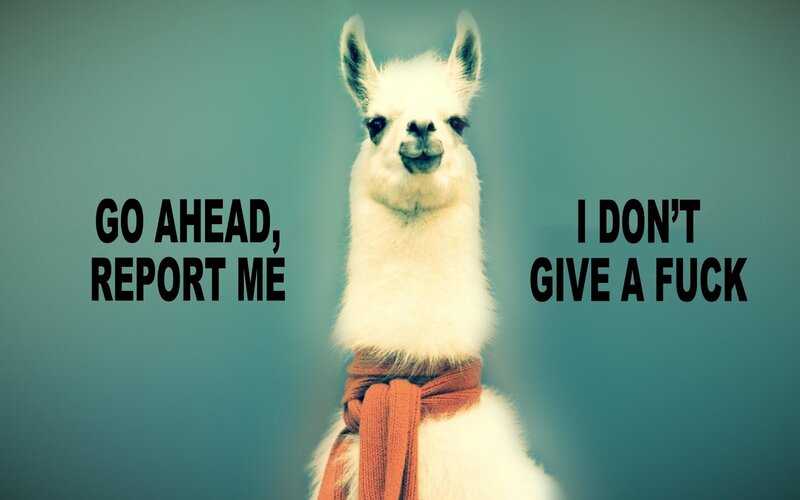 llama with defiant text