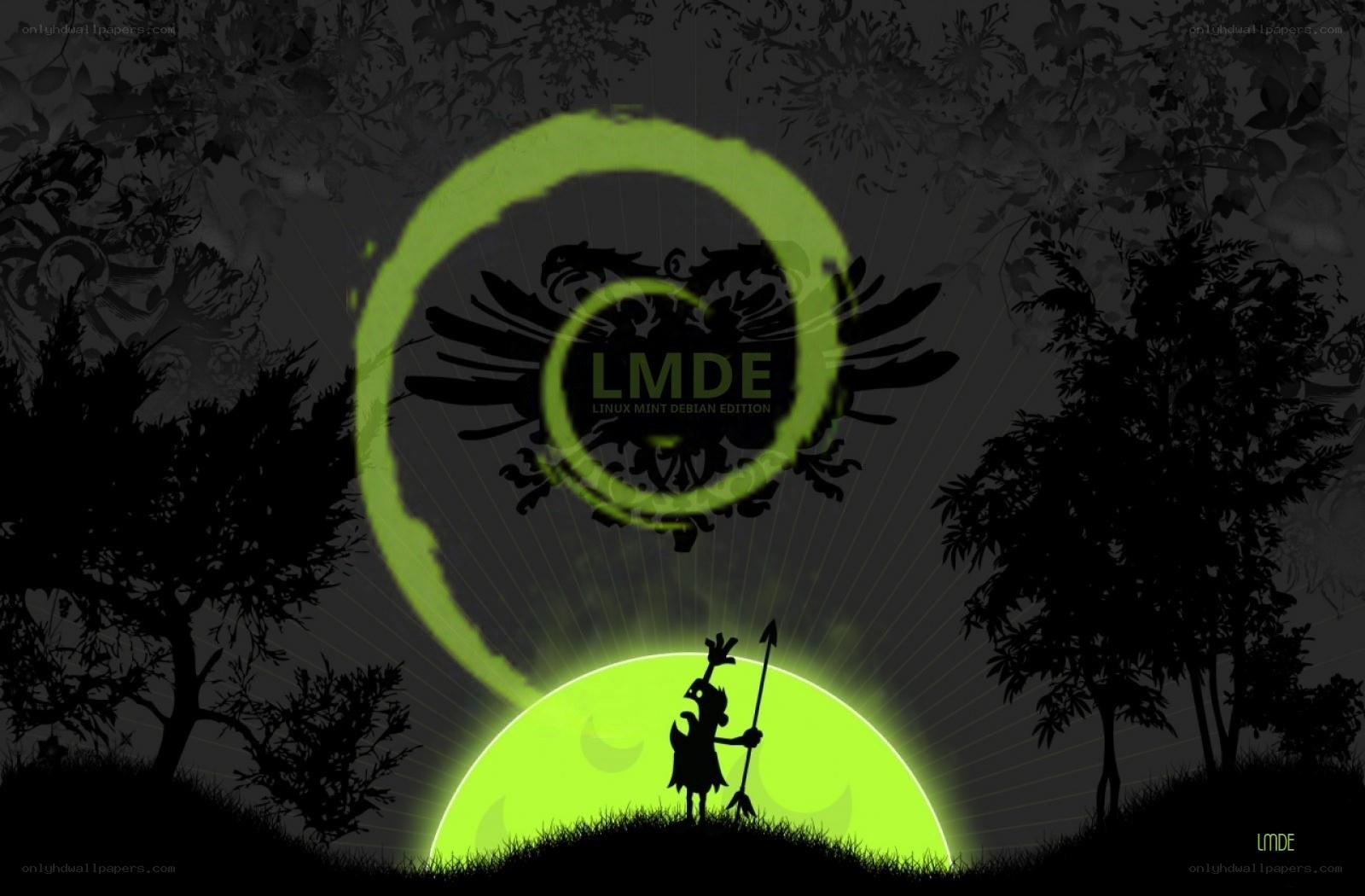 LMDE Linux Mint Debian Edition