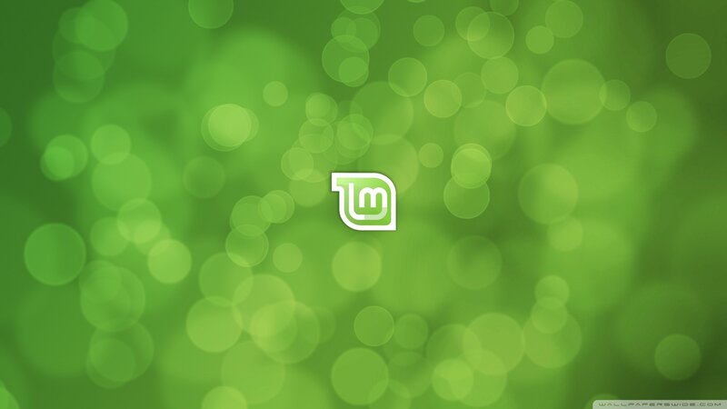 LMDE Logo on Green Background