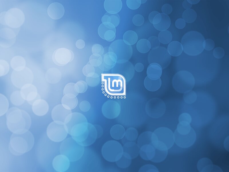 LMMS Logo on Blue
