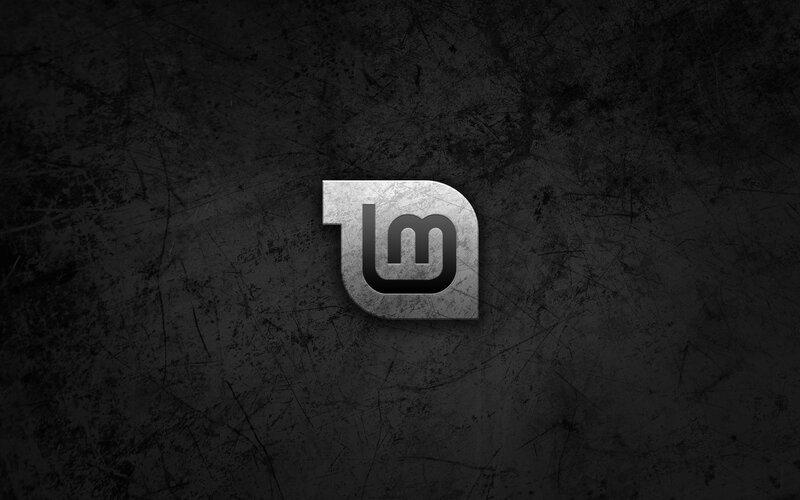 LMMS Logo on Textured Background
