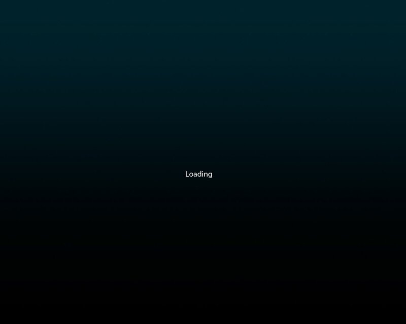 Loading screen