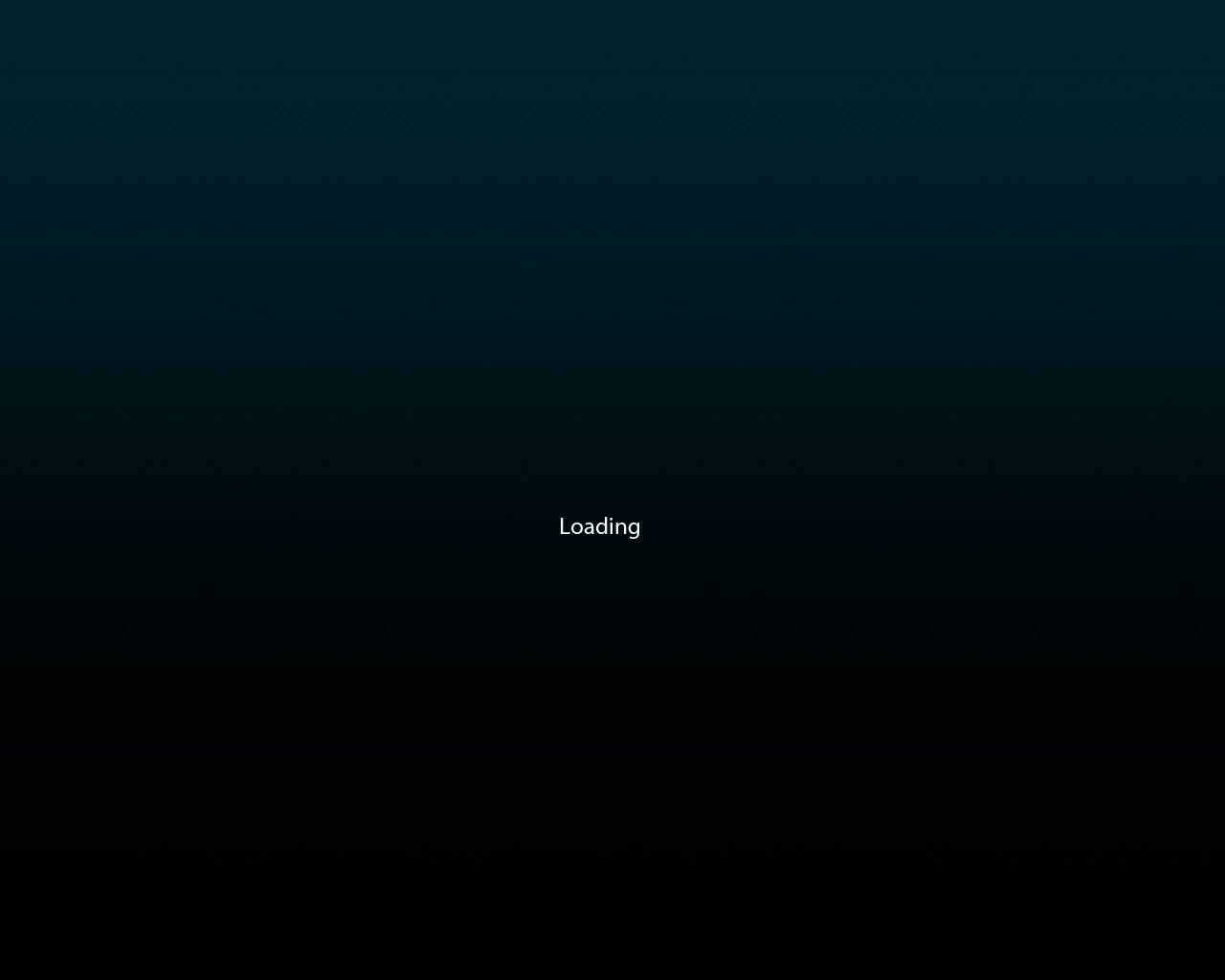 Loading screen
