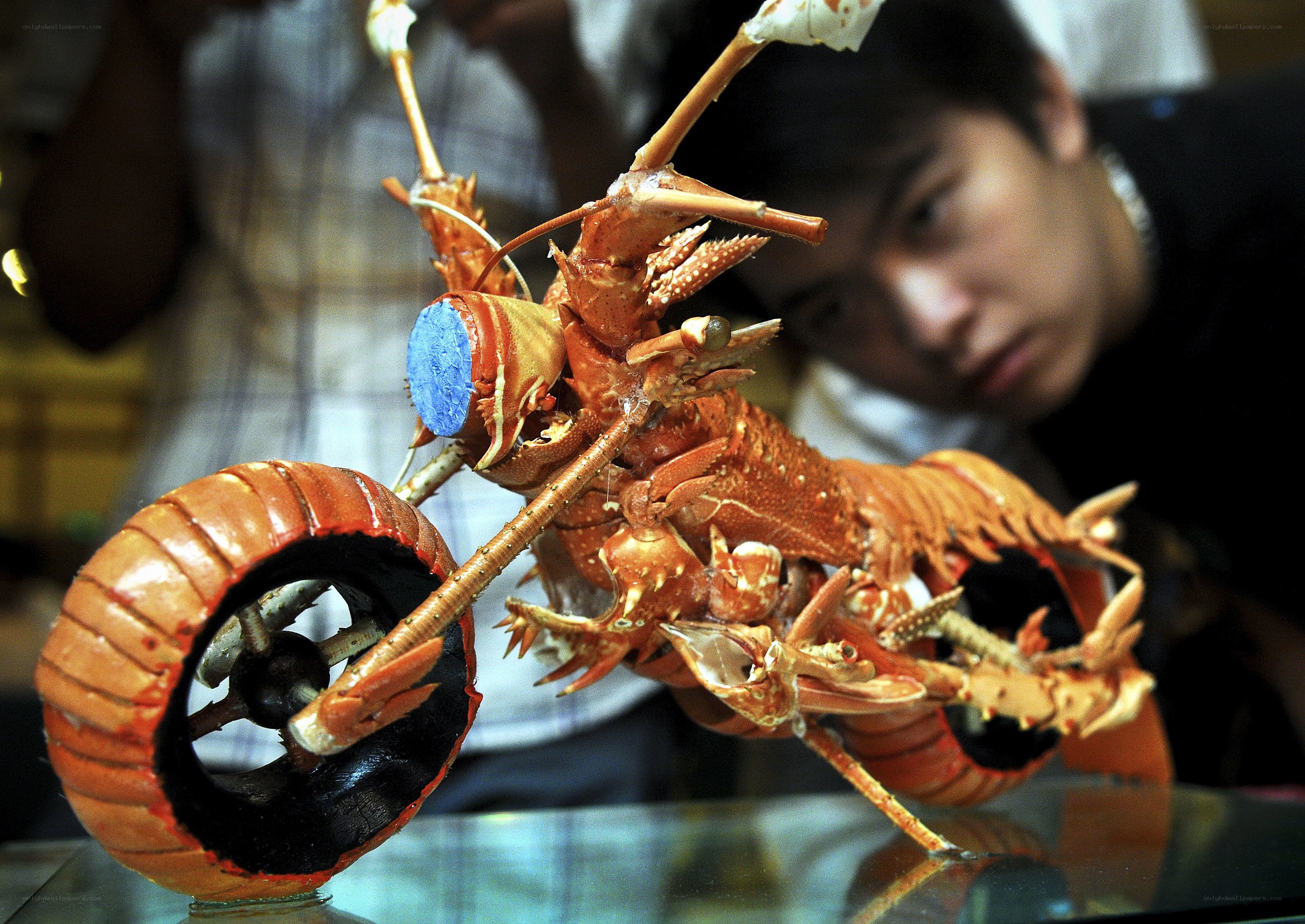 Lobster sculpture on motorcycle