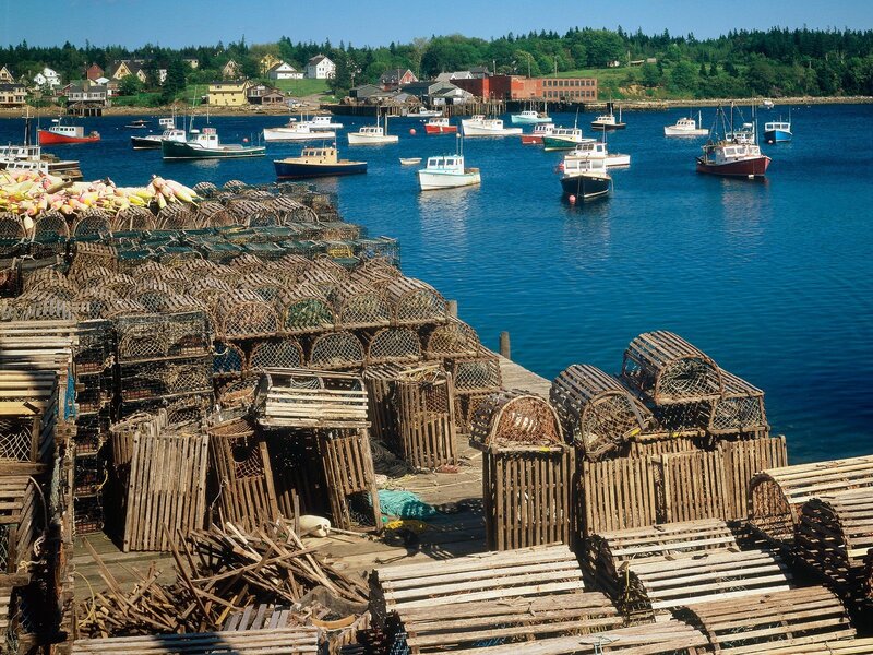 Lobster traps at a coastal harbor