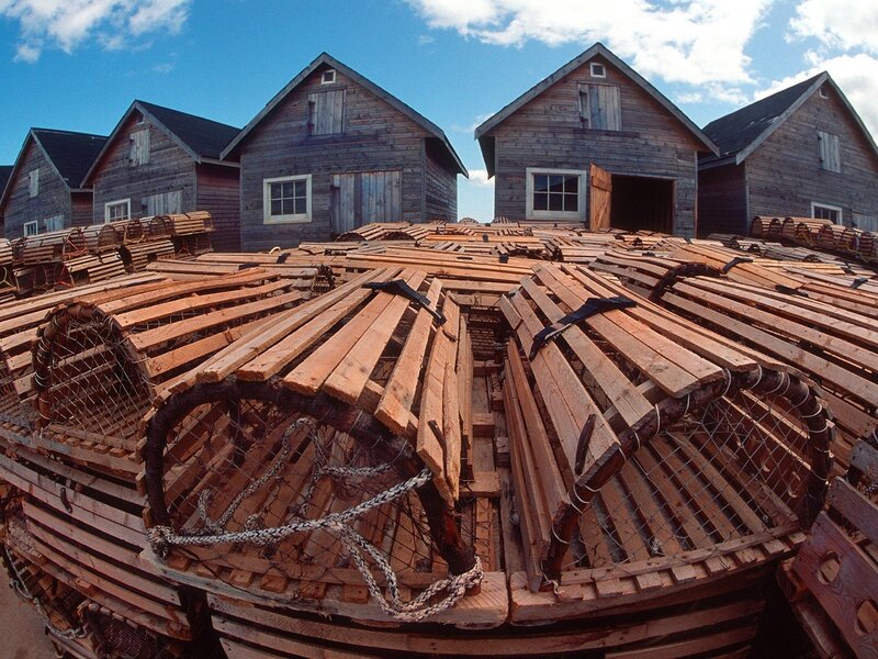 Lobster traps at a fishing village