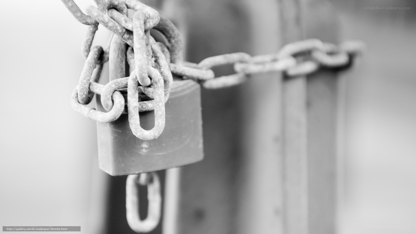 locked chain and padlock