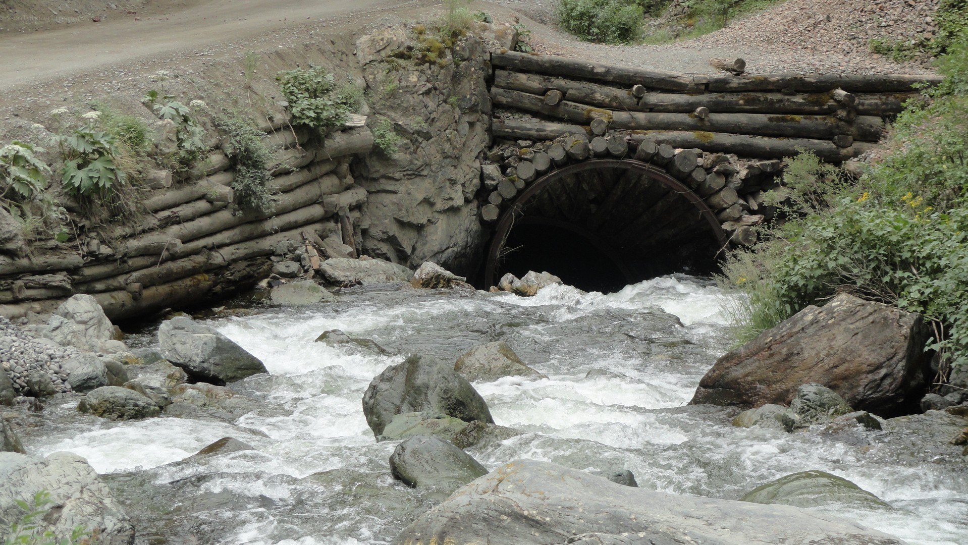 Log bridge over rushing river